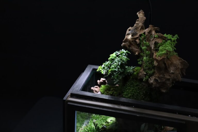 Creating a Stunning Aquatic Display with a 125 Gallon Fish Tank