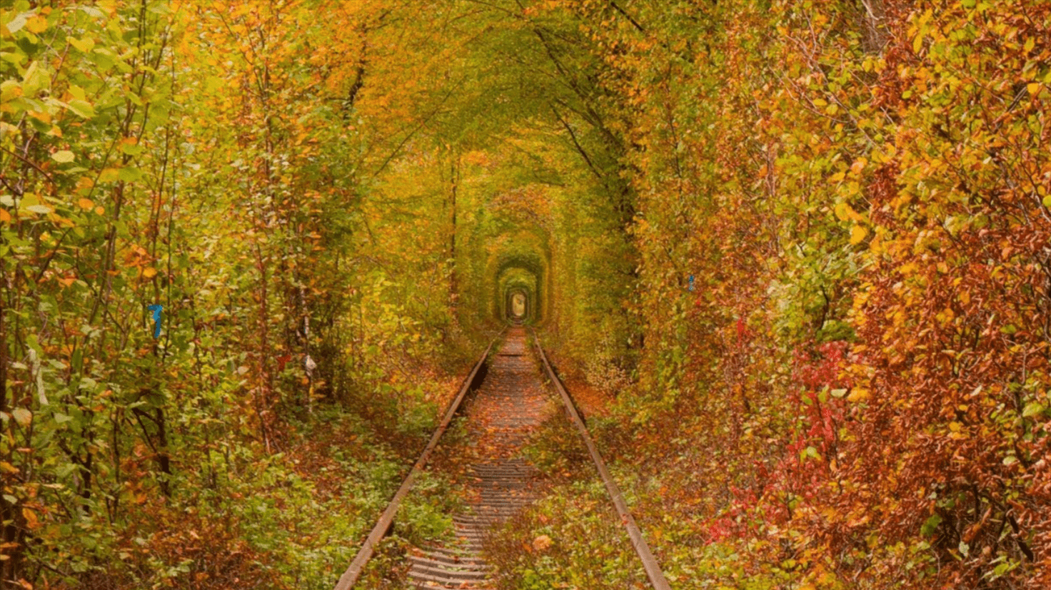 Exploring the Tunnel of Love in Klevan During Autumn for Couples and Photographers