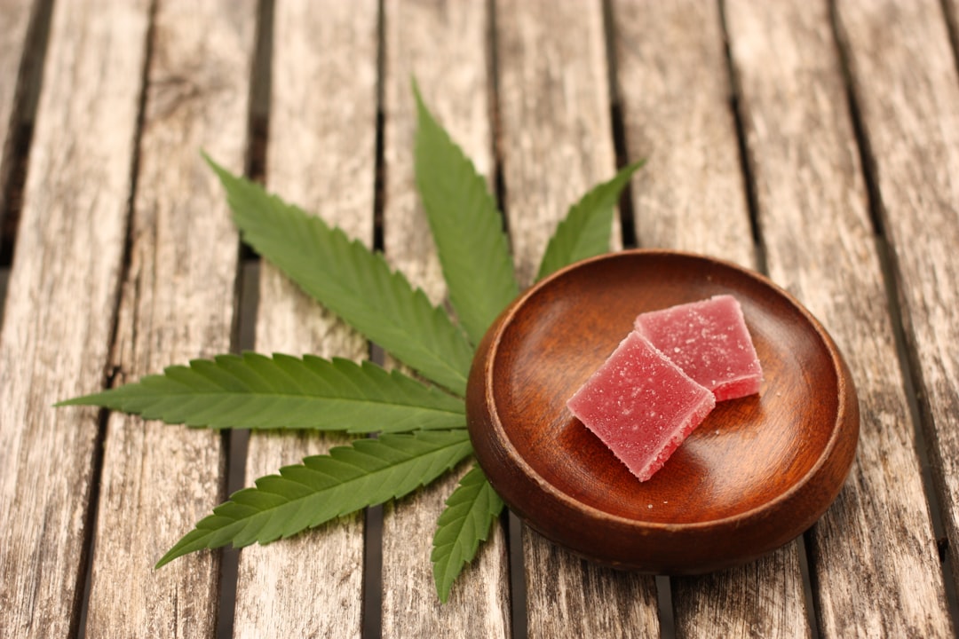 Unlocking Euphoria: Discovering Wellness at Euphoria Wellness