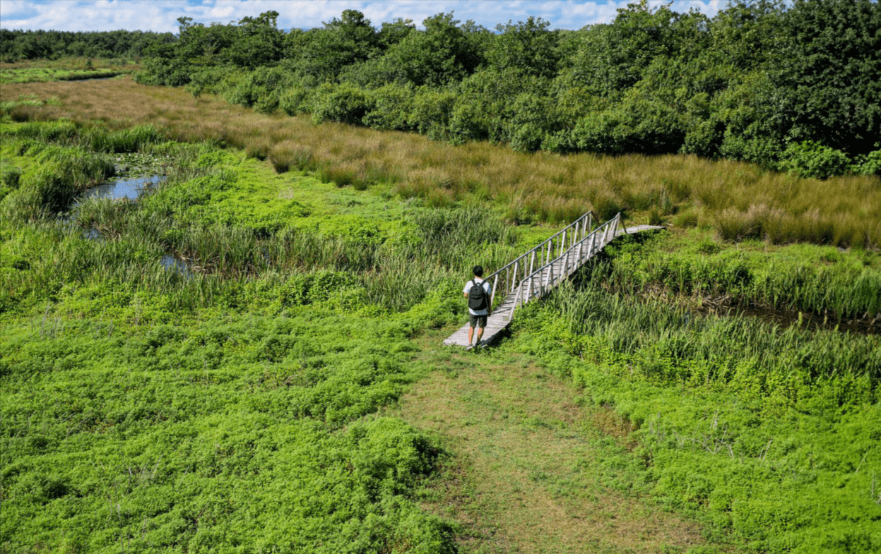 Eco-Tourism Ideas for Visiting Lagodekhi National Park