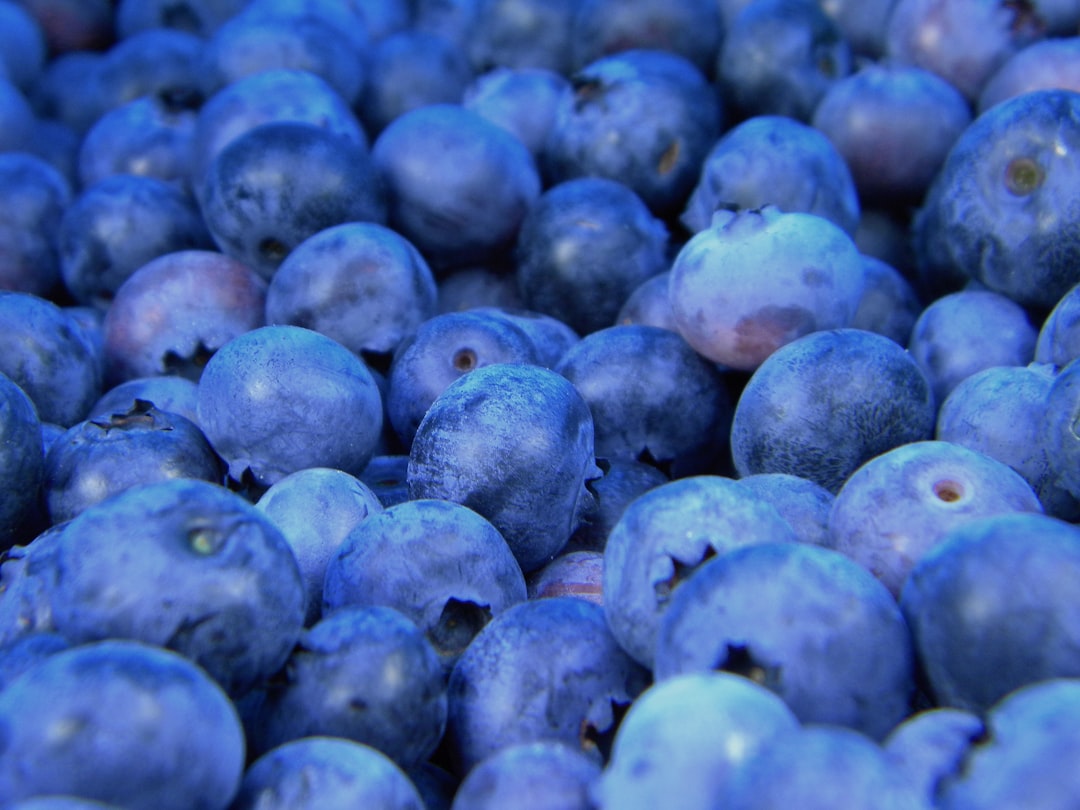 Discover the Natural Sweetness of Monk Fruit
